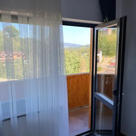 Alpen Krokus Yablunytsia