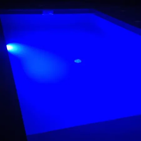 Alpen Krokus Yablunytsia